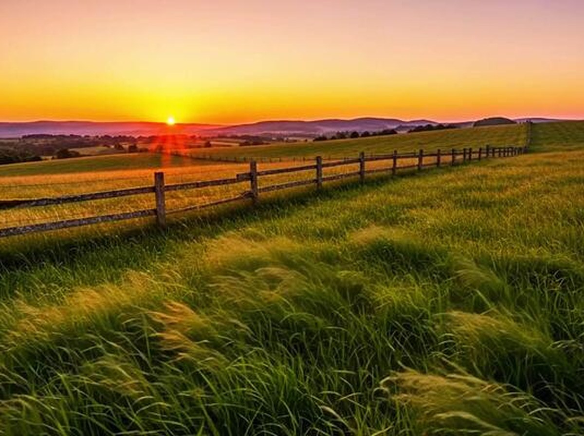Open rural land at golden hour — grassy field with fence posts under a big sky